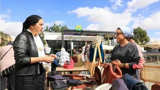 تفاصيل مشاركة «القومي للمرأة» في مؤتمر ”مسارها المهني للسيدات في مصر”