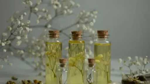 العناية ببشرة الأطفال في الشتاء.. 5 زيوت طبيعية للحماية من الجفاف والتشققات