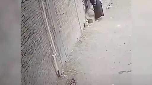 سيدة متهمة بمحاولة سرقة منزل بالقليوبية تعترف بالجريمة بعد انتشار فيديو