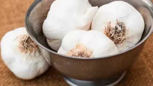 5 طرق طبيعية وفعّالة لحفظ الثوم طازجًا طوال فصل الشتاء 5 طرق طبيعية وفعّالة لحفظ الثوم طازجًا طوال فصل الشتاء