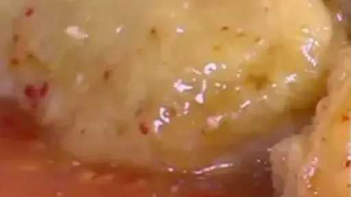 دبابيس الدجاج المقرمشة بصوص السويت آند تشيلي: وصفة سهلة وشهية