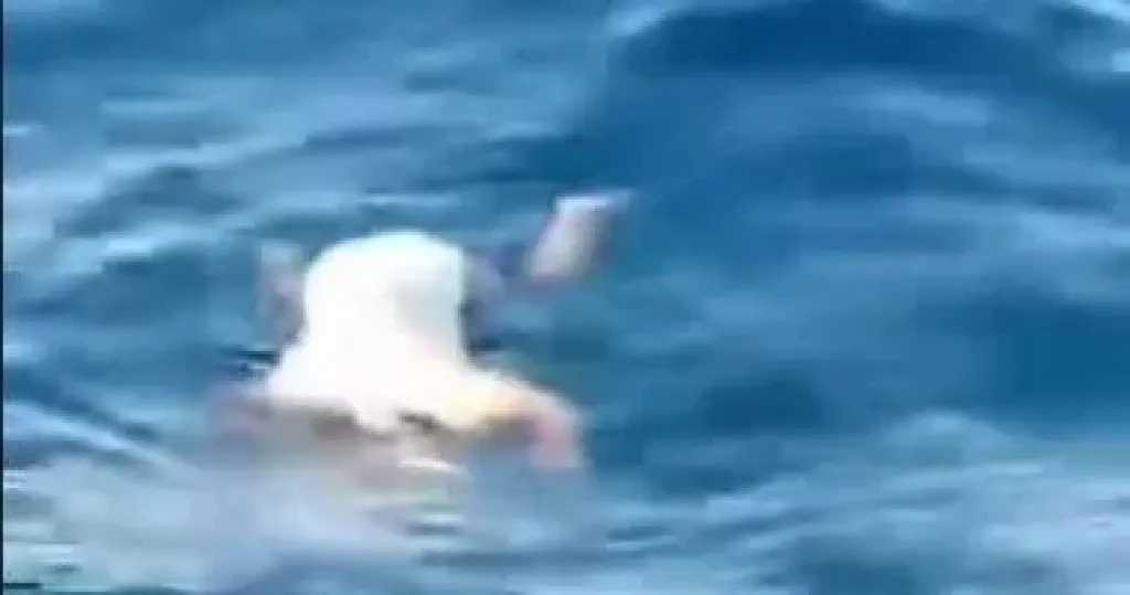 غموض في أسوان.. العثور على جثة فتاة طافية فوق مياه النيل بجوار موقف الأقاليم