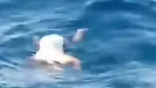 غموض في أسوان.. العثور على جثة فتاة طافية فوق مياه النيل بجوار موقف الأقاليم