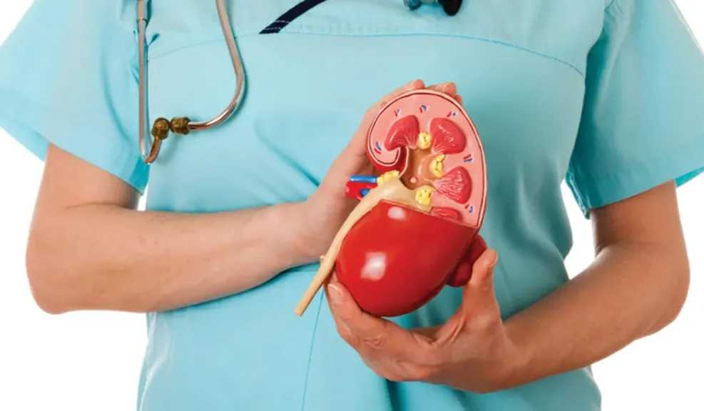 للأمهات.. طرق فعّالة للتخلص من حصوات الكلى والوقاية منها