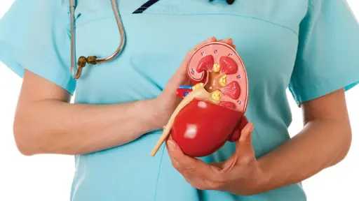 للأمهات.. طرق فعّالة للتخلص من حصوات الكلى والوقاية منها