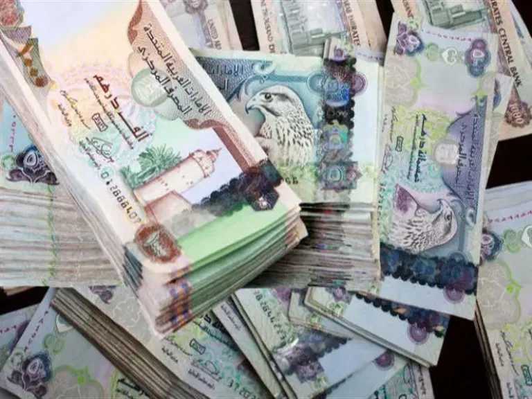 استقرار سعر الدرهم الإماراتي أمام الجنيه المصري اليوم