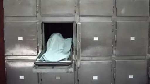 سقوط قاتل ينهي حياة ربة منزل بقرية العقال البحري في أسيوط سقوط قاتل ينهي حياة ربة منزل بقرية العقال البحري في أسيوط