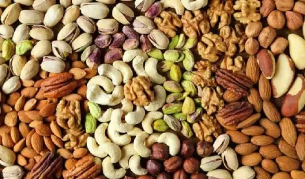 المكسرات والبذور