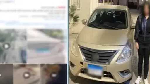 القصة الكاملة لضبط سيدة تقود سيارة عكس الاتجاه فى المعمورة وتعترف بدهس... القصة الكاملة لضبط سيدة تقود سيارة عكس الاتجاه فى المعمورة وتعترف بدهس كلب ضال