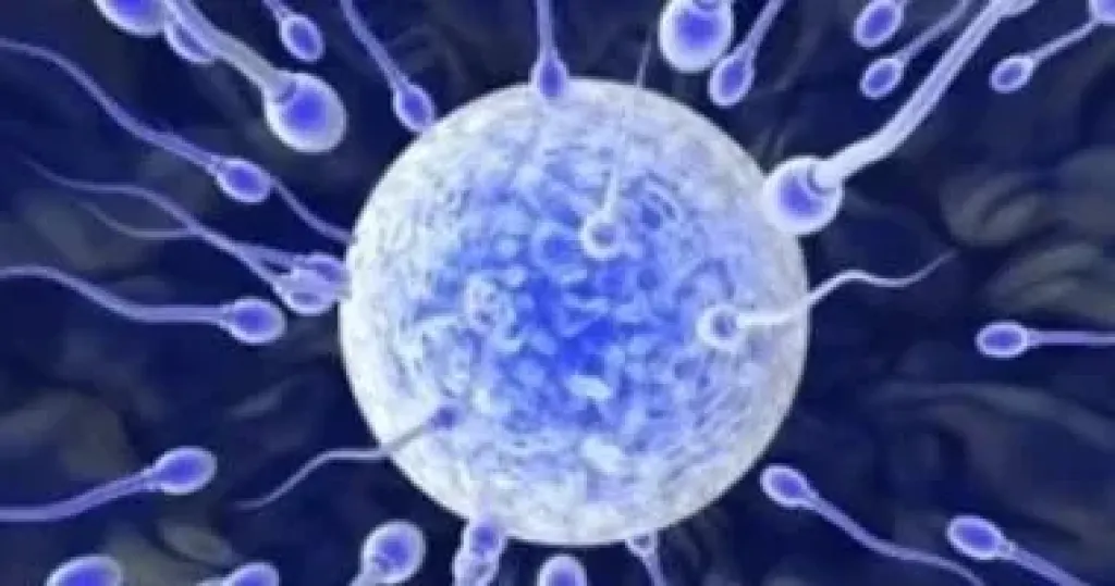 الحيوانات المنوية