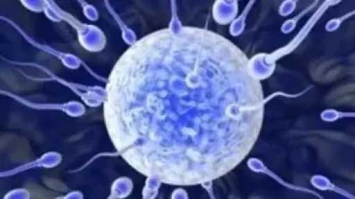 197 طفلاً يواجهون الإصابة بالسرطان بسبب متبرع بحيوان منوي.. كارثة تهز 14... 197 طفلاً يواجهون الإصابة بالسرطان بسبب متبرع بحيوان منوي.. كارثة تهز 14 دولة أوروبية