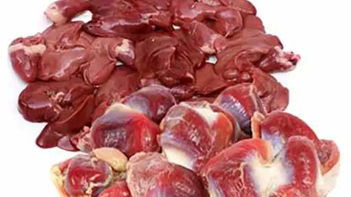 كنز غذائي منسي.. فوائد مذهلة لتناول كبد وقوانص الدجاج كنز غذائي منسي.. فوائد مذهلة لتناول كبد وقوانص الدجاج