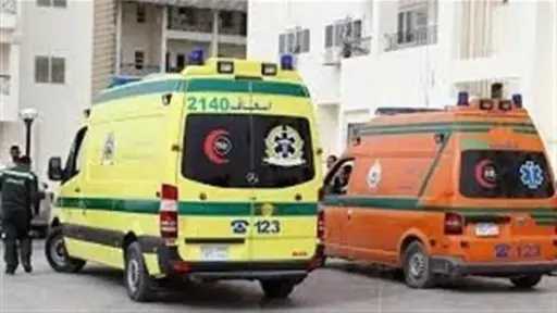 بينهم طفلين.. إصابة 7 أشخاص في انقلاب سيارة ميكروباص بمنطقة الهرم