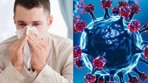 تحذير صحي.. انتشار الفيروس الغدي بسرعة وإمكانيات العلاج محدودة