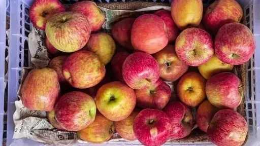 دليلك الكامل لتحضير عصير تفاح شهي وطبيعي بخطوات بسيطة