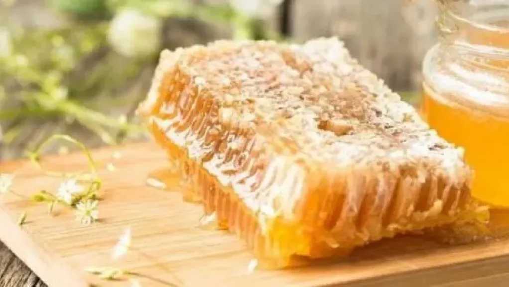 فوائد مذهلة لعسل البردقوش.. مستودع طبيعي لصحة الجسم المرأة ورفاهيته