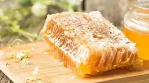 فوائد مذهلة لعسل البردقوش.. مستودع طبيعي لصحة الجسم المرأة ورفاهيته