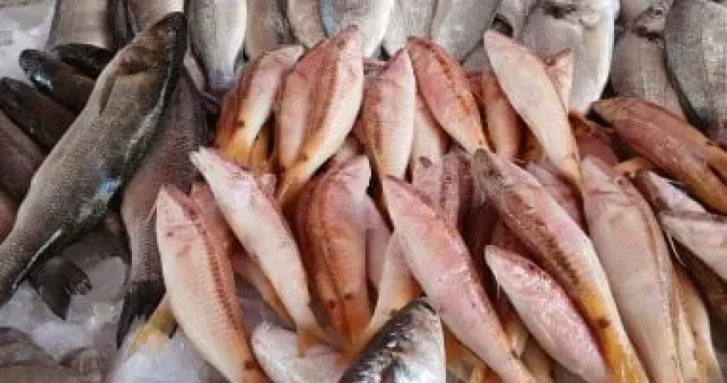 الأسماك الدهنية