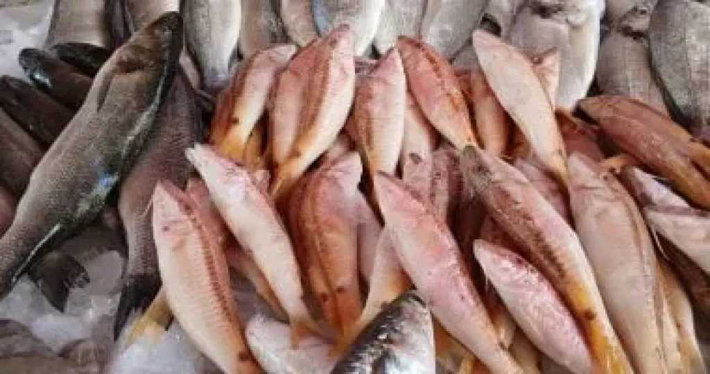 طعام القلب الذكي.. دليلك الشامل لاختيار أفضل أنواع الأسماك لصحة القلب