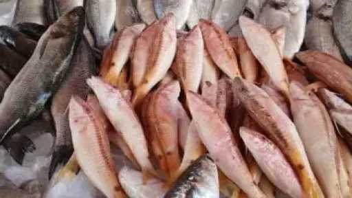 طعام القلب الذكي.. دليلك الشامل لاختيار أفضل أنواع الأسماك لصحة القلب