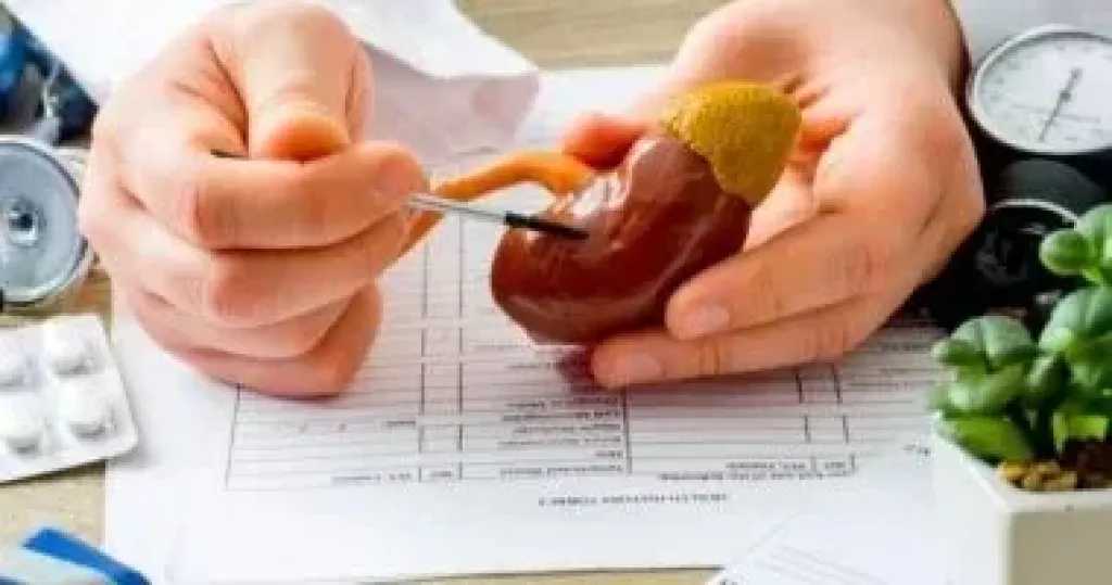 كيف تحافظ على صحة كليتيك؟ عادات يومية شائعة قد تؤدي إلى تلف الكلى، خاصة بعد الأربعين