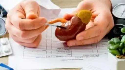 كيف تحافظ على صحة كليتيك؟ عادات يومية شائعة قد تؤدي إلى تلف الكلى، خاصة بعد الأربعين