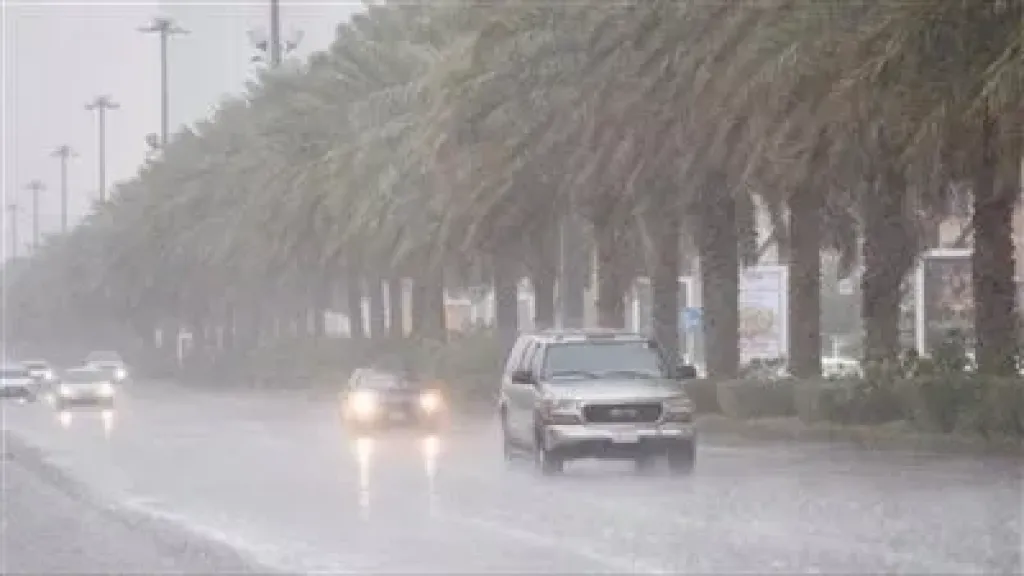 تحذير عاجل من الأرصاد.. سقوط أمطار وشبورة كثيفة فى هذا التوقيت
