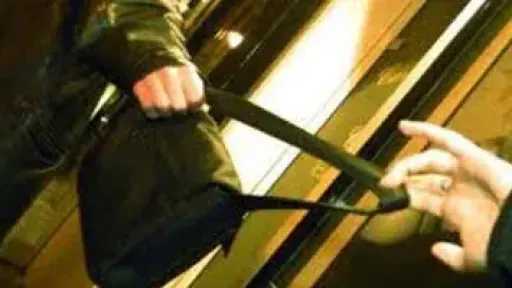 الداخلية تنجح في كشف تفاصيل سرقة حقيبة سيدة بالجيزة