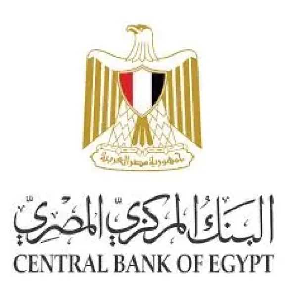 ارتفاع تحويلات المصريين بالخارج إلى 37.5 مليار دولار: إنجاز تاريخي