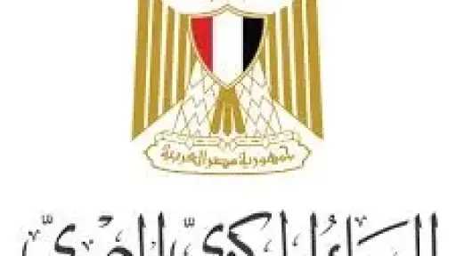 ارتفاع تحويلات المصريين بالخارج إلى 37.5 مليار دولار: إنجاز تاريخي