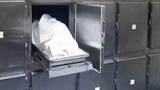 جـ ـريمة تهز أسوان.. شقيق يطعن شقيقته في منطقة السباعية غرب لسبب صاد م