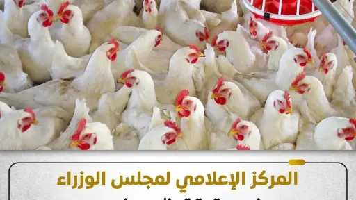 حقيقة أنفلونزا الطيور.. الزراعة توضح وتطمئن المواطنين على سلامة المزارع والأسعار
