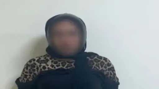 امرأة تُحطم زجاج سيارة بأحد شوارع بورسعيد.. الأمن يكشف الملابسات