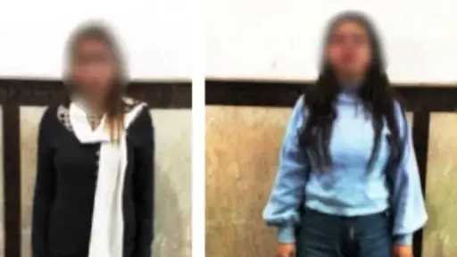 الأمن يضبط سيدتين تروّجان لممارسات غير أخلاقية عبر تطبيق هاتفي بالإسكندرية