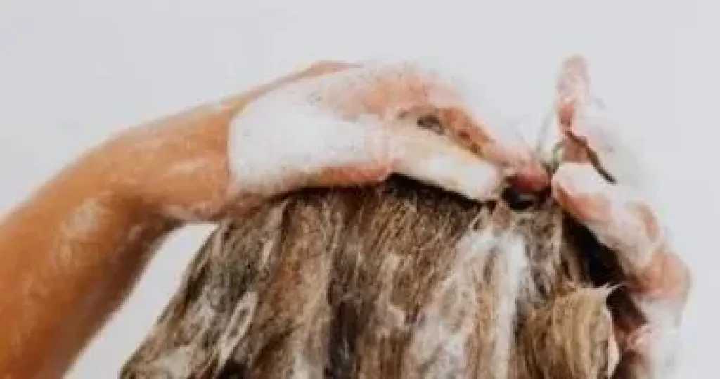 ديتوكس فروة الرأس.. الحل المثالي لاستعادة صحة شعرك وبريقه