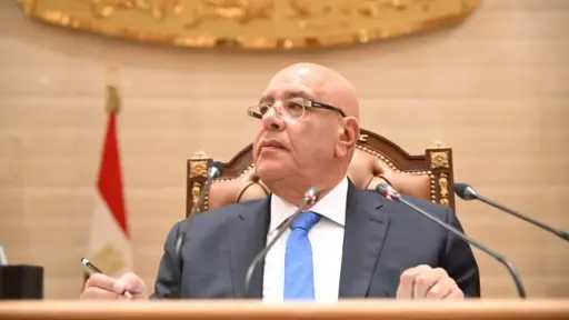 تعزيز دور المرأة المصرية في التنمية.. تعاون بين ”النواب” و”القومي للمرأة”