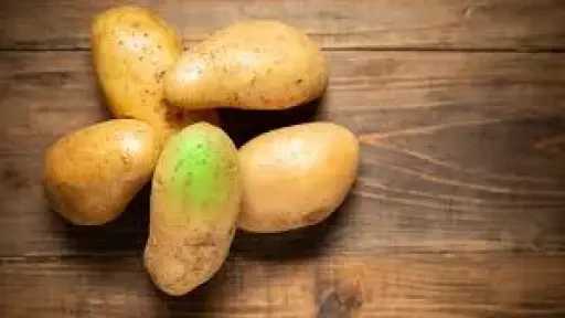 احذري.. علامات تؤكد أن البطاطس قد تكون سامة وغير صالحة للاستهلاك