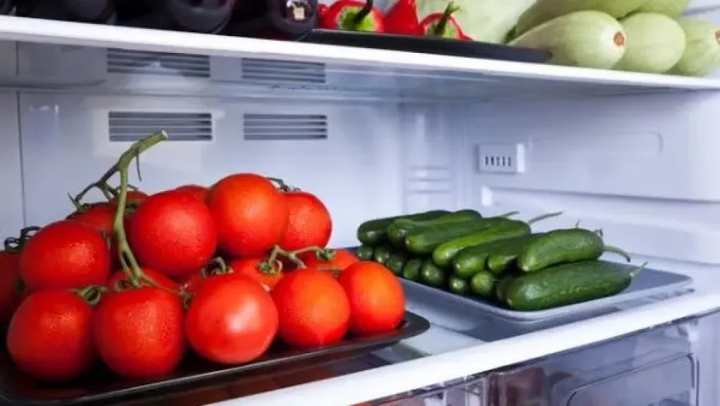 تنظيم الثلاجة