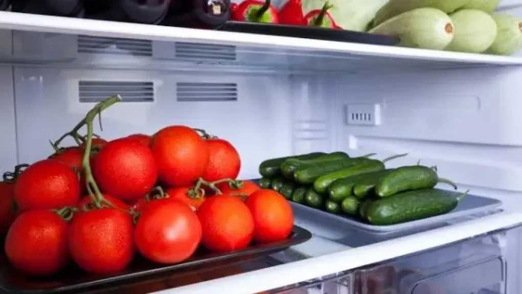 قبل رمضان.. نصائح مذهلة لتنظيم الثلاجة والحفاظ على طزاجة الأطعمة