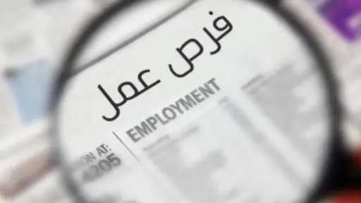 4379 فرصة عمل جديدة في 12 محافظة ضمن نشرة توظيف وزارة العمل