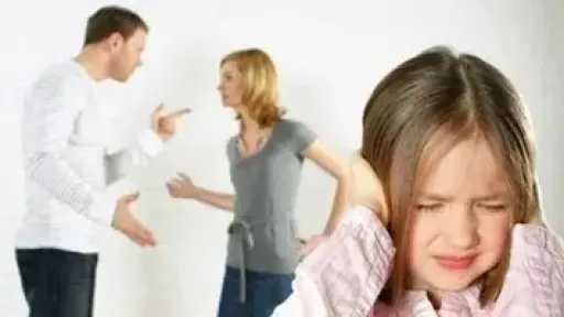 الأمن يكشف حقيقة خلاف الحضانة بين سيدة وطليقها وملابسات مشادة على مواقع... الأمن يكشف حقيقة خلاف الحضانة بين سيدة وطليقها وملابسات مشادة على مواقع التواصل