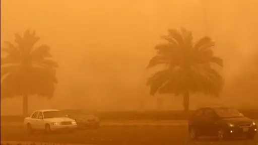 شبورة كثيفة ورياح محملة بالأتربة.. تحذير عاجل من طقس اليوم