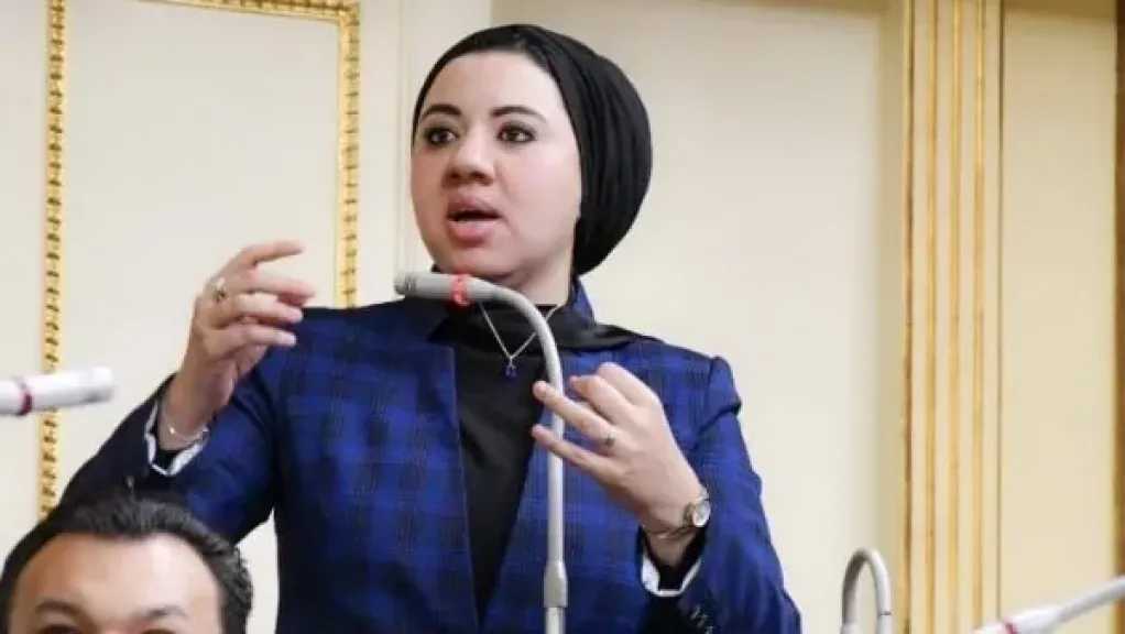 وكتبت وصيتي.. تعليق صادمة من النائبة أميرة صابر بعد الهجوم عليها بسبب التبرع بالجلود