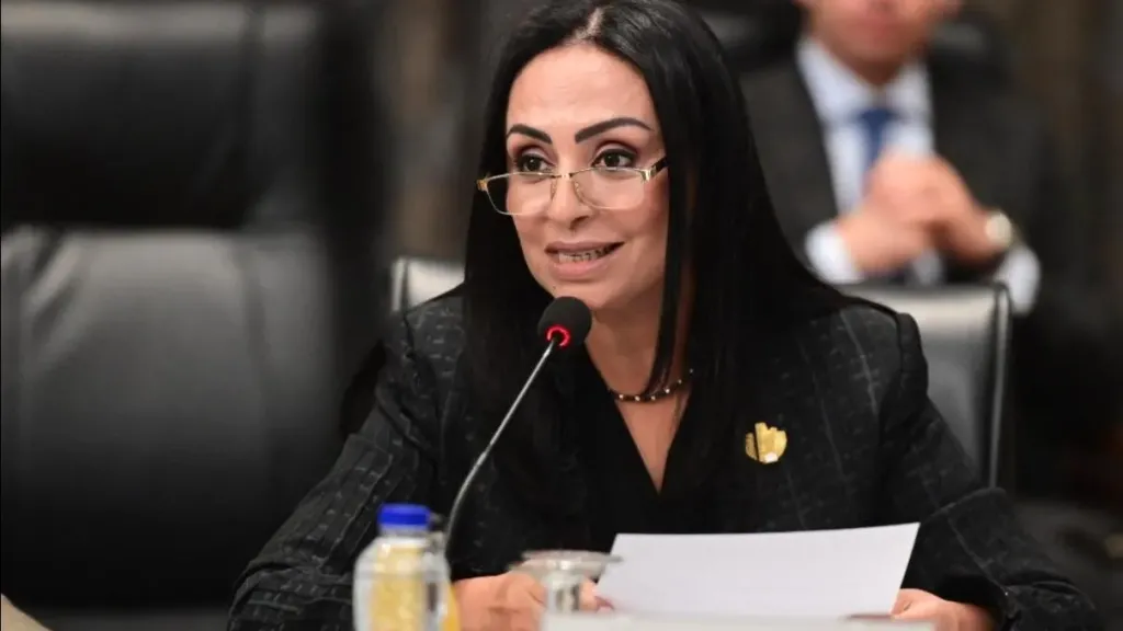 الدكتورة مايا مرسي، وزيرة التضامن الاجتماعي