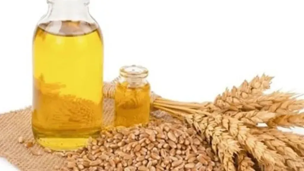 زيت جنين القمح