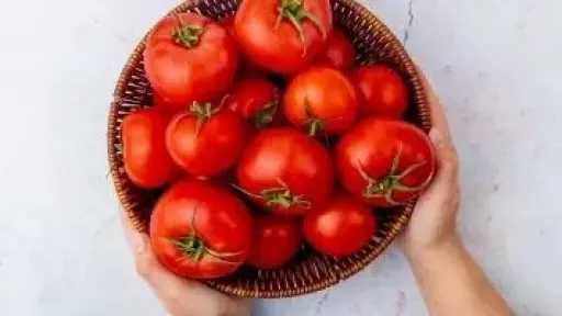 مع اقتراب رمضان.. نصائح للتفريق بين الطماطم الطبيعية والمزروعة بطرق صناعية