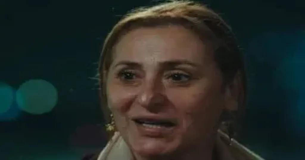 الفنانة عبير فاروق