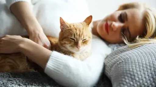 تحذير من خطر كرات الشعر على صحة القطط وتحذيرات لعلاجها والوقاية منها تحذير من خطر كرات الشعر على صحة القطط وتحذيرات لعلاجها والوقاية منها