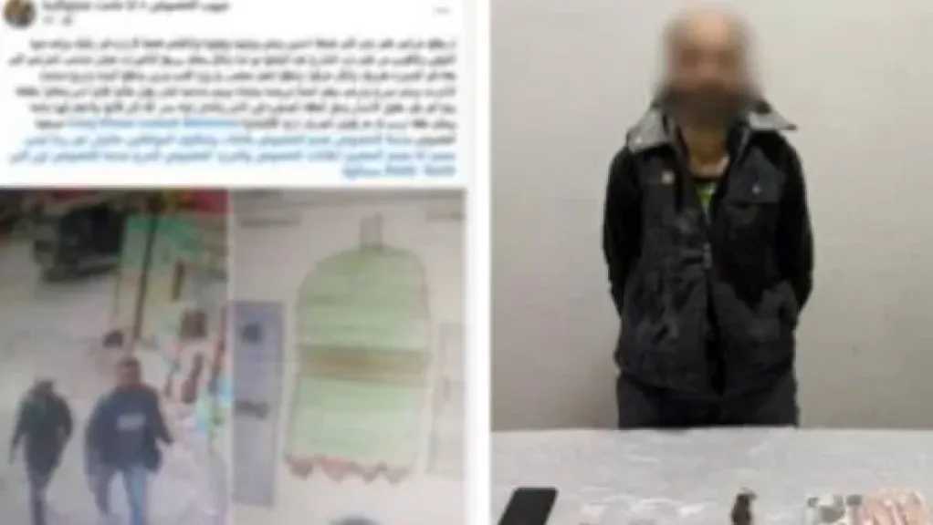 الأمن يكشف ملابسات سرقة هاتف فتاة بالقليوبية.. تفاصيل