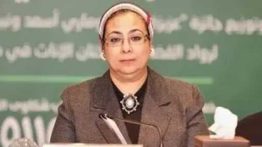 المرصد الإعلامي للقومي للمرأة يواصل نشاطه للعام الحادي عشر بمشاركة غير مسبوقة